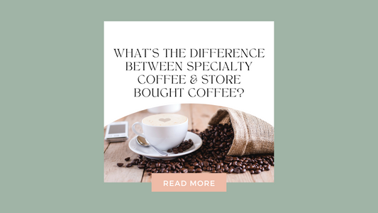 What's the Difference Between Specialty Coffee & Grocery Store Coffee?